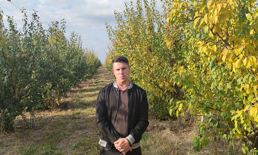 Livada soarelui, cooperativa care promite vânzarea integrată a producției