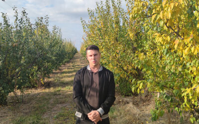 Livada soarelui, cooperativa care promite vânzarea integrată a producției